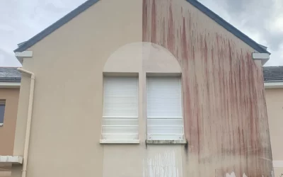 Nettoyage champignons et moisissures sur façade à Angers : traitement durable